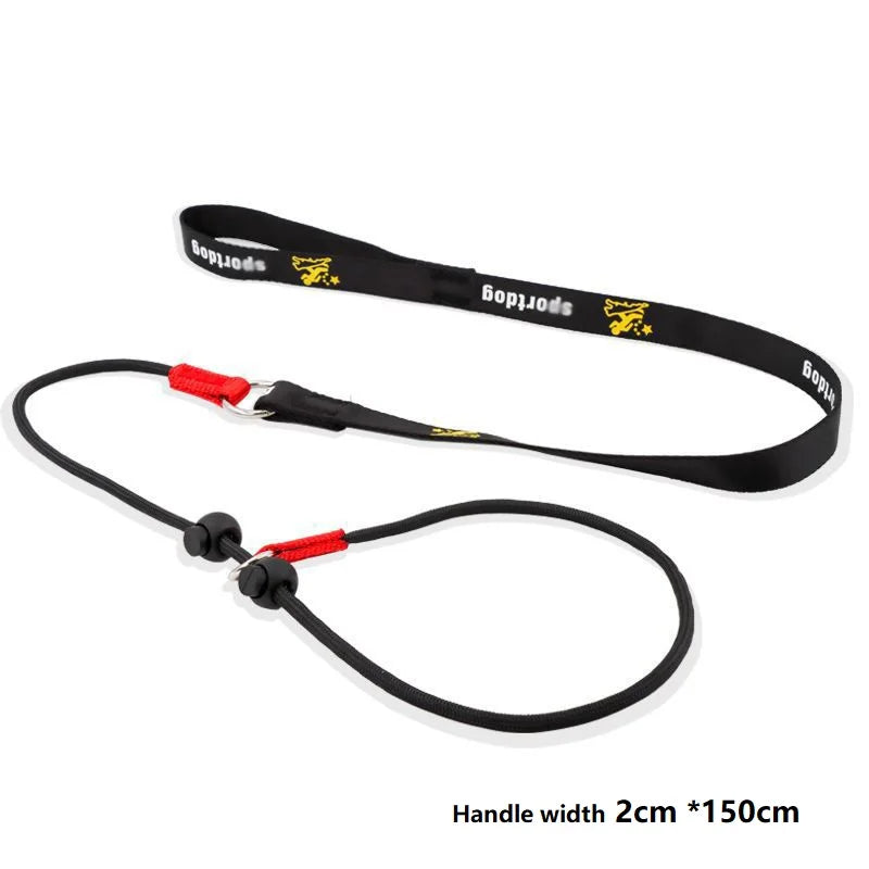 Training Dog Choking Rope Leash 2 in 1 Lead Collar 150cm P-Shaped Chain Slip Lead Control Leash for Small Large Competition Dogs