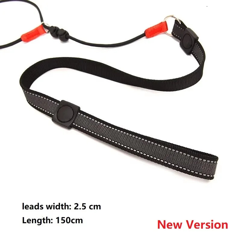 Training Dog Choking Rope Leash 2 in 1 Lead Collar 150cm P-Shaped Chain Slip Lead Control Leash for Small Large Competition Dogs