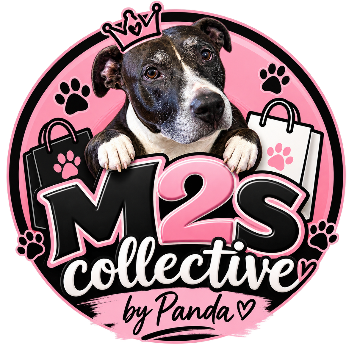 M2S Collective by Panda