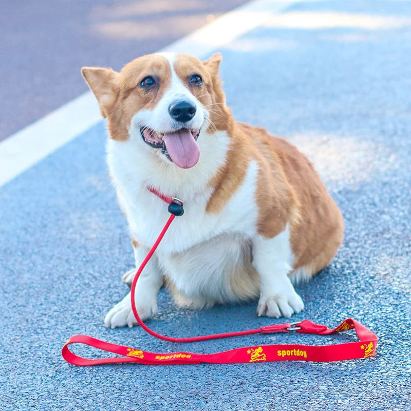 Training Dog Choking Rope Leash 2 in 1 Lead Collar 150cm P-Shaped Chain Slip Lead Control Leash for Small Large Competition Dogs