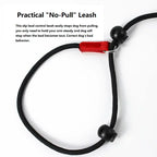 Training Dog Choking Rope Leash 2 in 1 Lead Collar 150cm P-Shaped Chain Slip Lead Control Leash for Small Large Competition Dogs