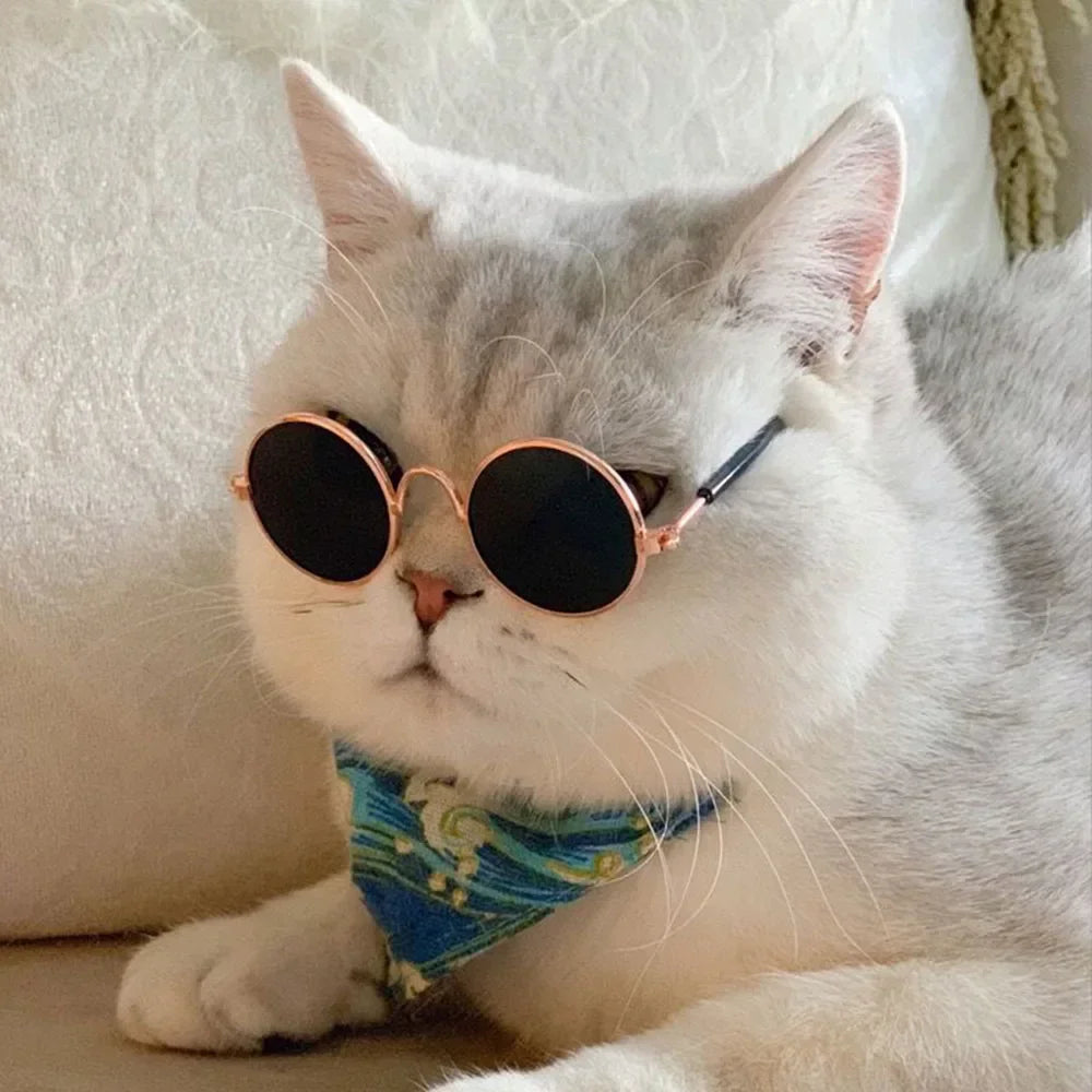 Cat Sunglasses Summer Outdoor Puppy UV Protection Sunglasses Dolls Sun Glasses Small Dog Cosplay Photo Props Cute Pet Sunglasses