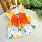 Dog Princess Dress Summer Kitten Pet Skirt Cute Printed Bow Lace Dog Dresses for Small Medium Puppies Poodle Chihuahua Apparel