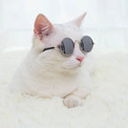 Cat Sunglasses Summer Outdoor Puppy UV Protection Sunglasses Dolls Sun Glasses Small Dog Cosplay Photo Props Cute Pet Sunglasses