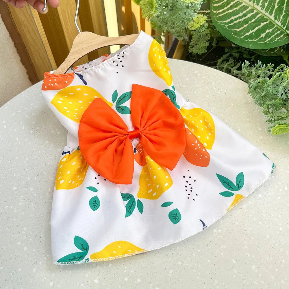 Dog Princess Dress Spring Summer Kitten Pet Skirt Cute Dog Dress Bow Lace for Small Medium Puppy Poodle Chihuahua