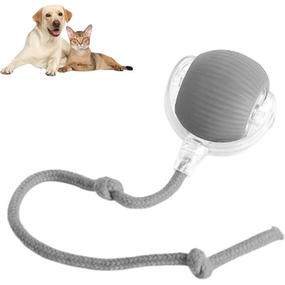 Best finds under $20 on the internet.